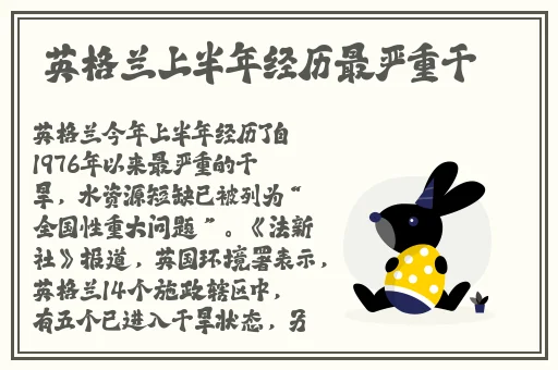 西藏法器肉莲花
